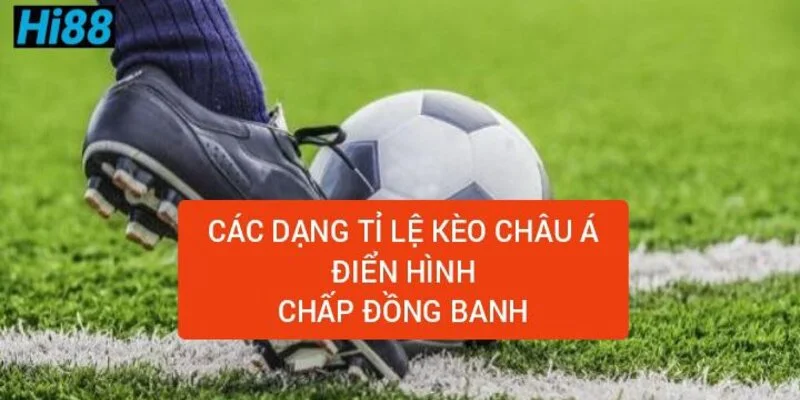 Kèo châu á là gì? Cách đọc kèo châu á chi tiết có ví dụ 1 cac-dang-ti-le-keo-chau-a-dien-hinh-chap-dong-banh